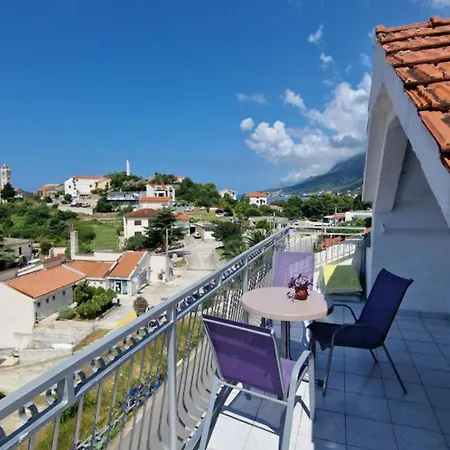 Palma Gradac (Split-Dalmatia)