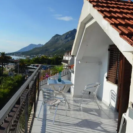 Palma Gradac (Split-Dalmatia)
